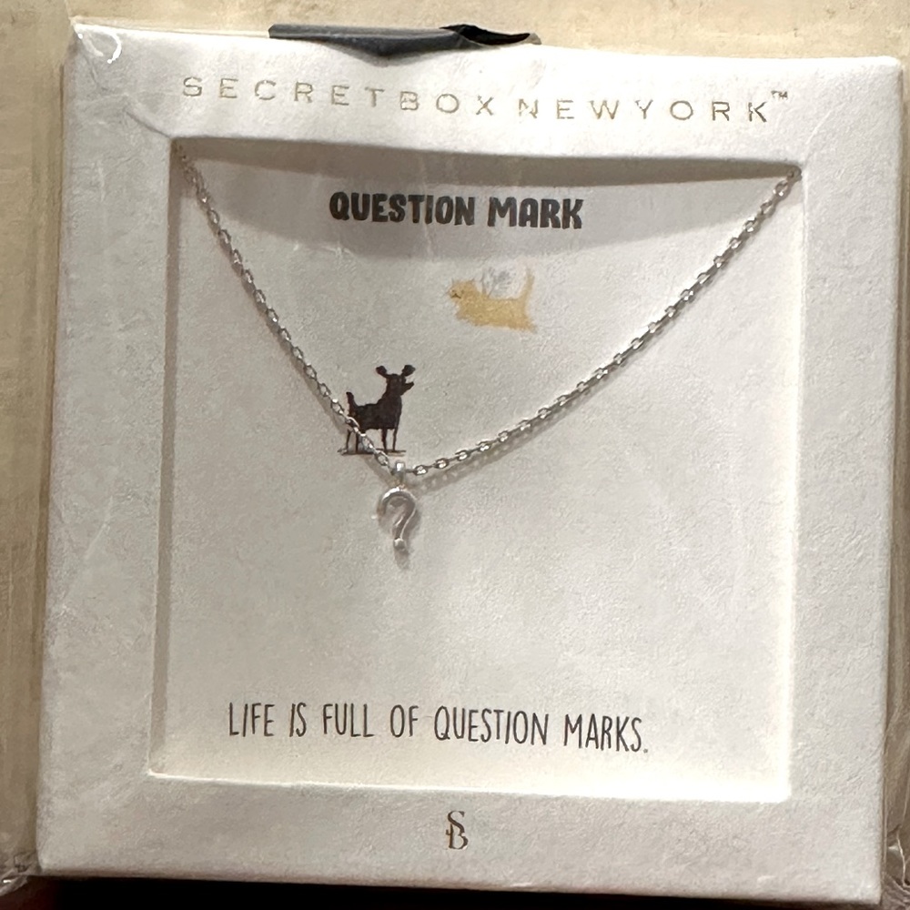 Secretbox New York - Question Mark Necklace